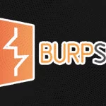 BurpSuite Professional Full