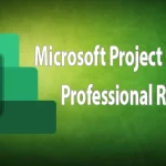 Microsoft Project Professional